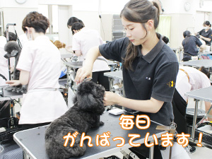 プロトリマーを目指して！